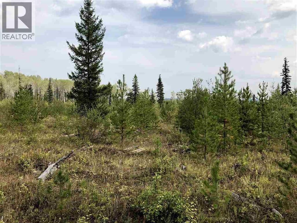 Property Photo:  Dl 664 Tyee Lake Road  BC V2G 4Y9 