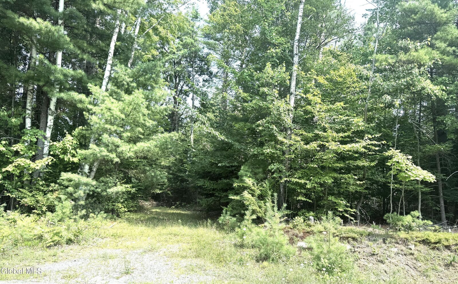 Property Photo: L21 New (Off) County Route 11 NY 12814