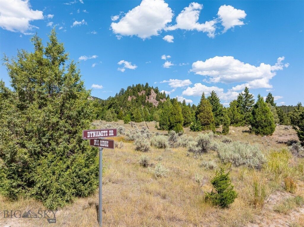 Property Photo: Tbd Dynamite Drive MT 59711