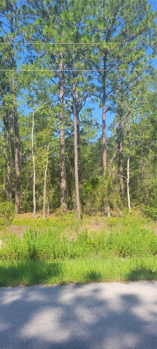 Property Photo: 0 NW Redwood Road FL 34431