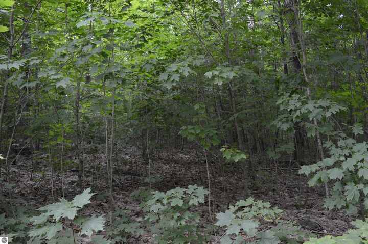 Property Photo: NE Dapokie Trail MI 49646