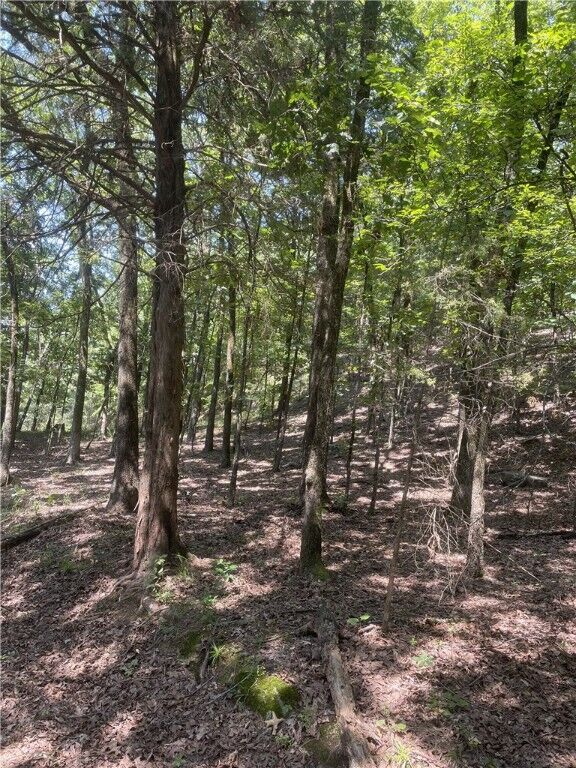 Property Photo:  312. Cr 3222  AR 72830 