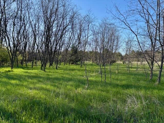 Property Photo:  2815 Plover Road  WI 54494 