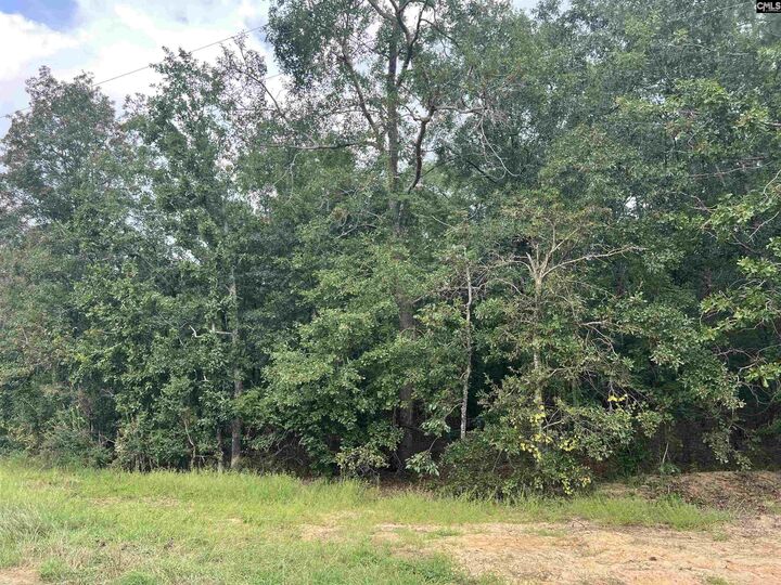 0 Cliff  Pelion SC 29123 photo