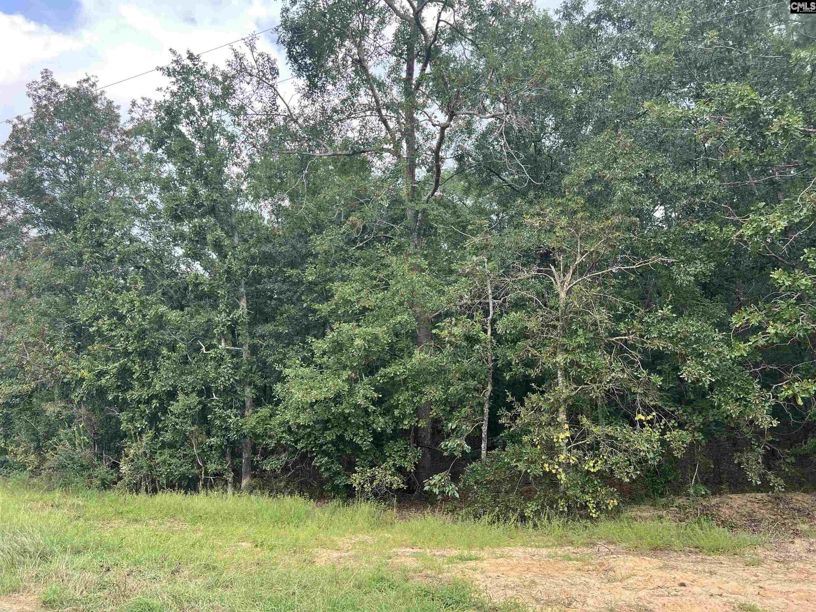 Property Photo: 0 Cliff SC 29123