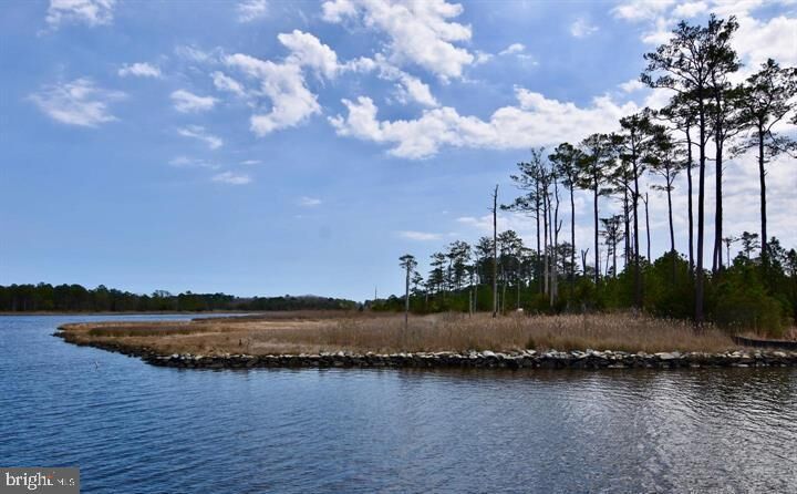 Property Photo:  Lot #271 War Dancer Lane  MD 21811 