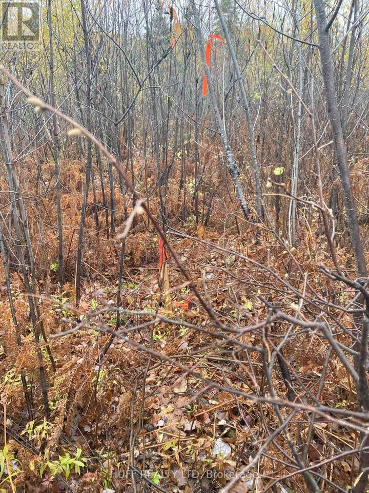 Lt 1 Con 6 54R-6390 Lot 1 Con 6 Marter Twp Road — photo 1