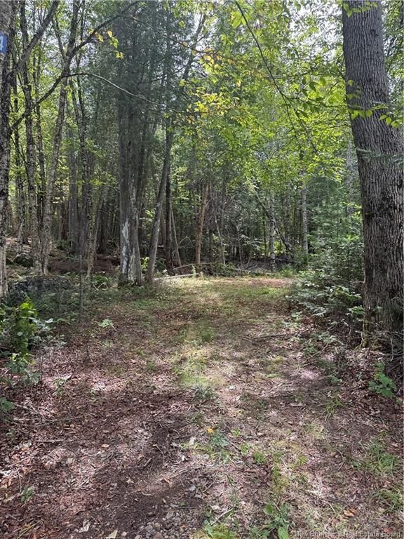 Property Photo: 194 Upper Waweig Road NB E3L 4N1