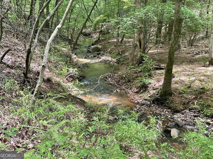 Property Photo:  174 Leighs Crossing  GA 30528 