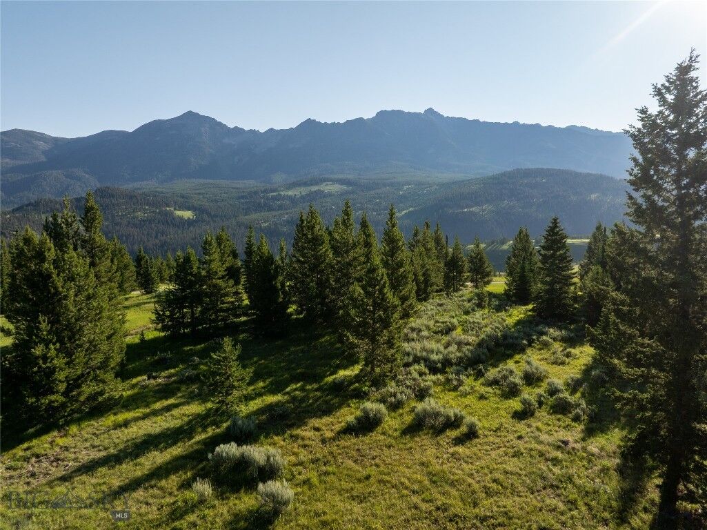 Property Photo: Tbd White Wolf Trail Lot 4 MT 59716
