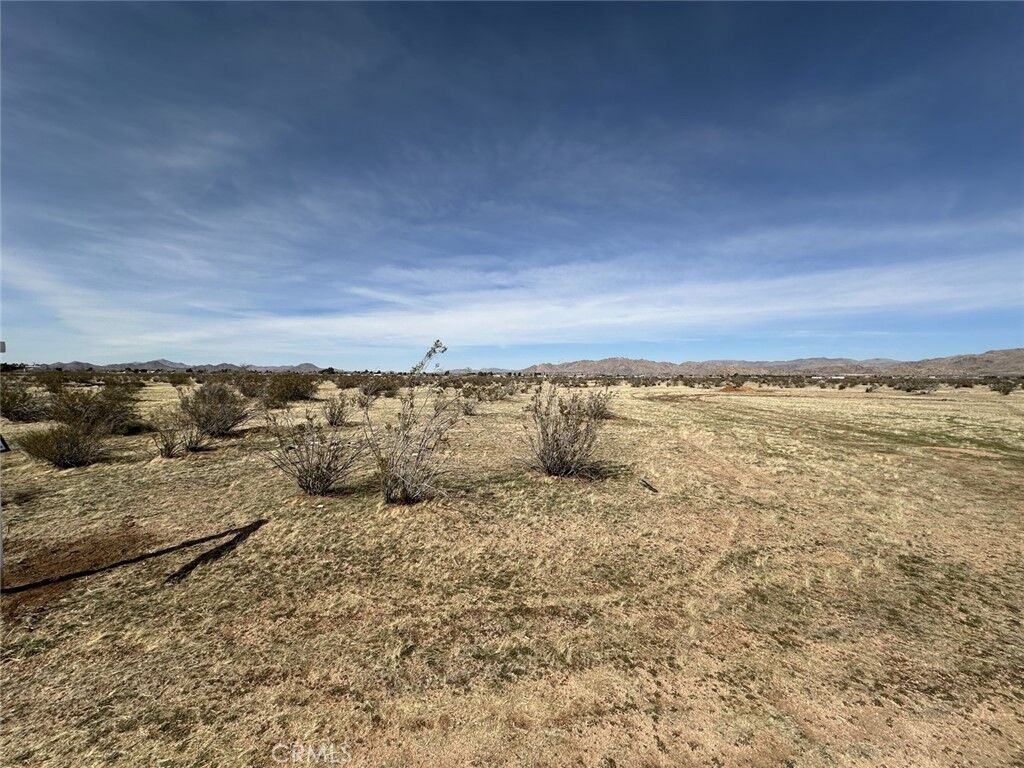 Property Photo:  264 Corto Rd  CA 92308 