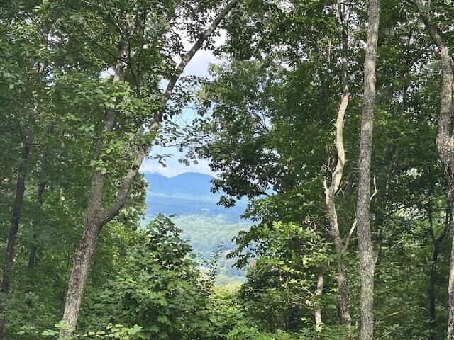 Property Photo:  Lt 64/65 Rocky Knob Estates  GA 30582 