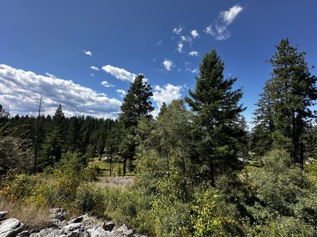 56 Bridle Court  Bigfork MT 59911 photo