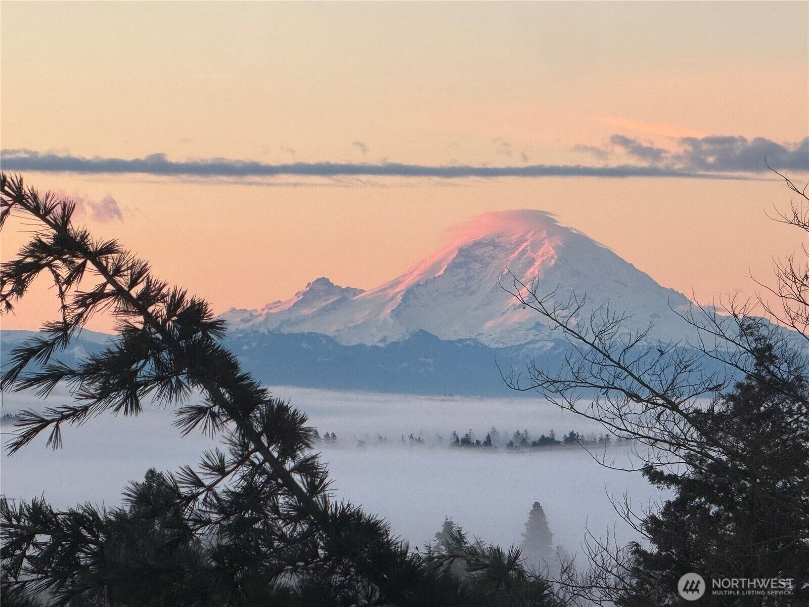 Property Photo:  6845  52nd Avenue NE  WA 98115 