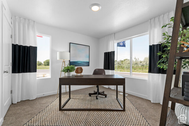 Property Photo:  358 E 1275 N 133  UT 84404 