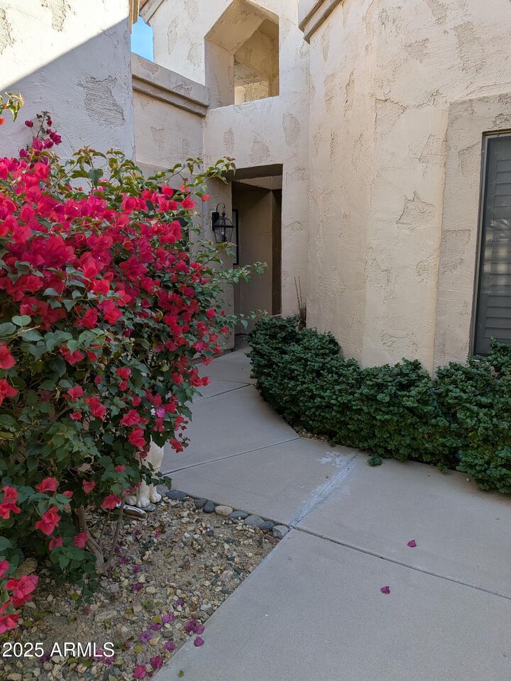 Property Photo:  19249 N 93rd Drive  AZ 85382 