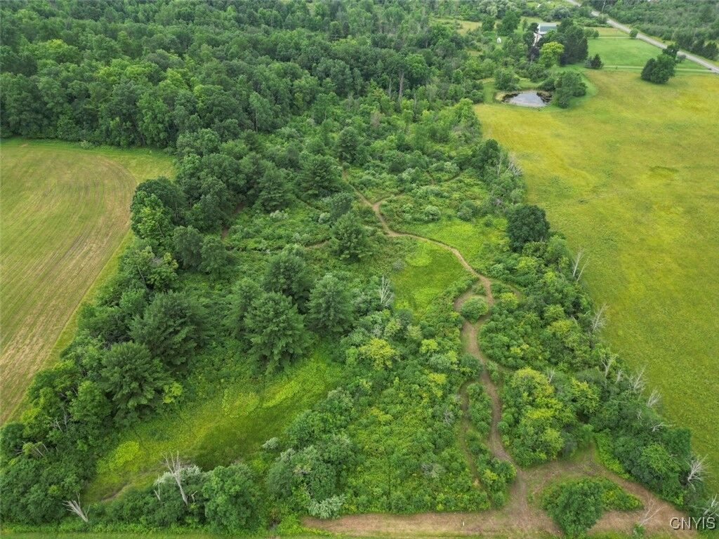 Property Photo:  County Road 114  NY 14840 