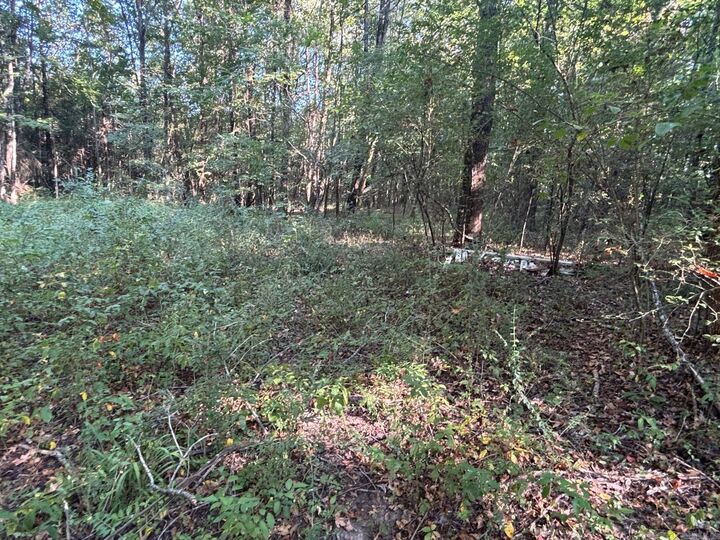 Property Photo: 183 J And J Lane AR 72007