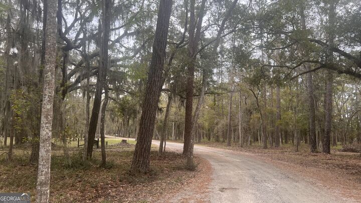 Property Photo: Lot 28 E Black Island Road GA 31305