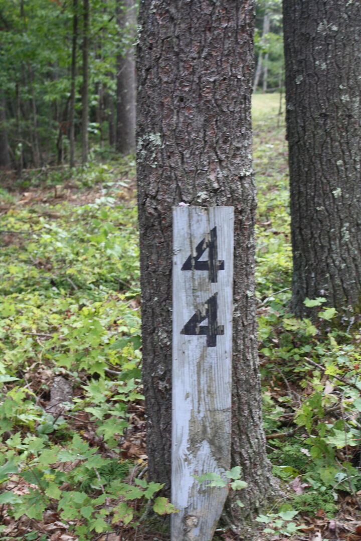 Property Photo: Lot 44 Old St Clair Road Pipestem Pointe WV 25979