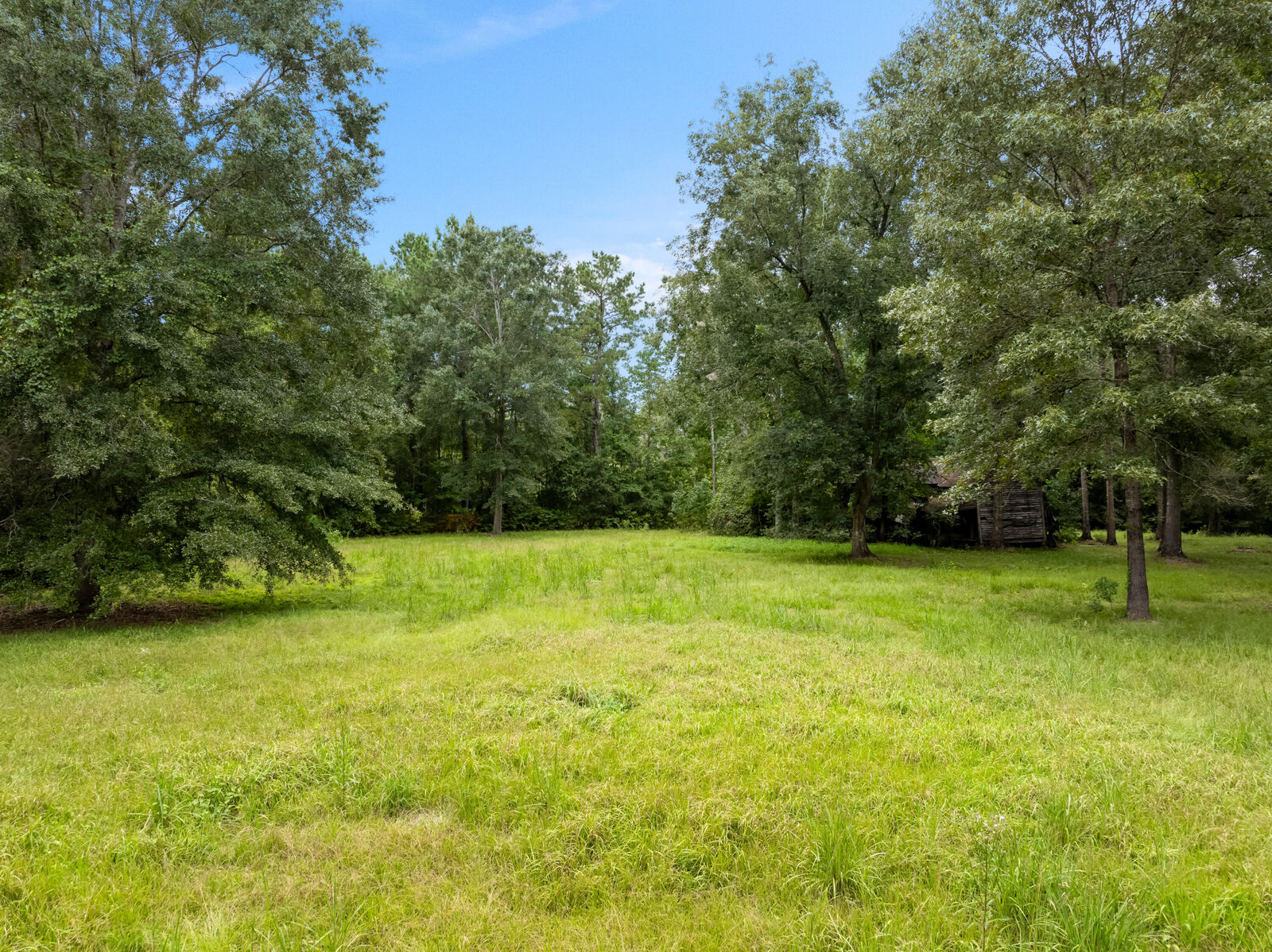 Property Photo:  290 Brooklyn Janice Rd.  MS 39425 