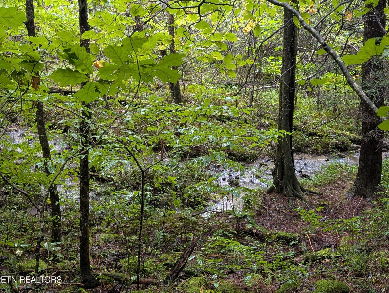 Property Photo:  Catoosa Drive- Lot 27  TN 37770 