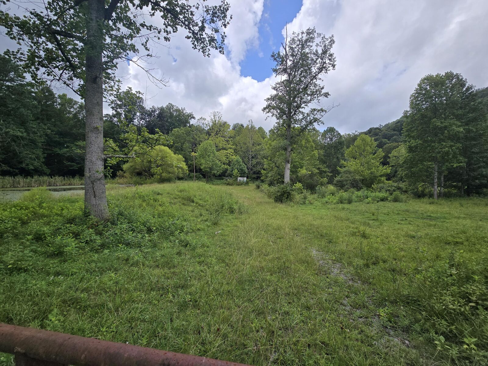 Property Photo:  00 Highway 217 &Amp 1344 Tract 2  KY 40965 