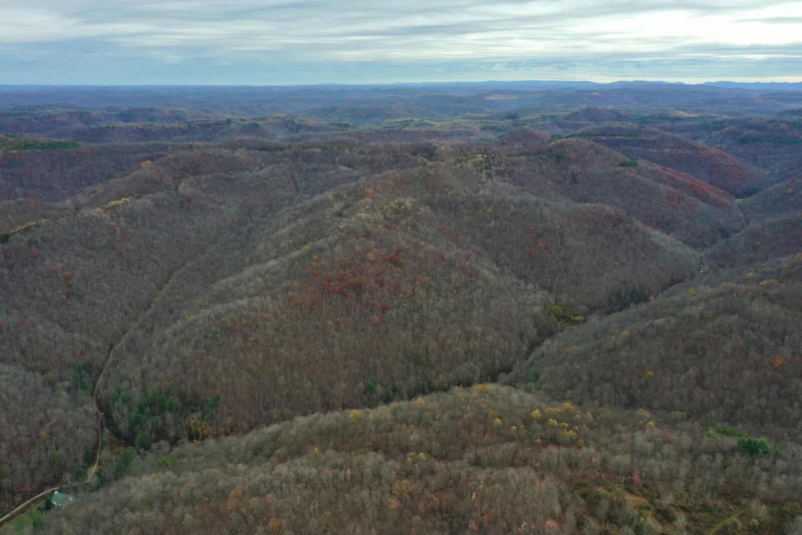 Property Photo: Tract 1 Cow Fork Road KY 40913