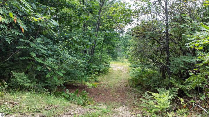 Property Photo: V/L Huston MI 49601