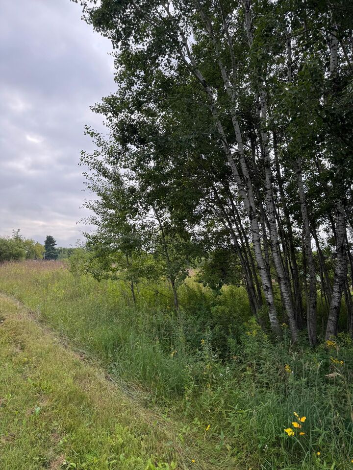 Property Photo: Tbd Whitetail Street MN 56441