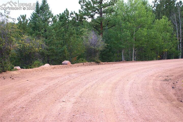 Property Photo:  490 Grosbeak Circle  CO 80814 