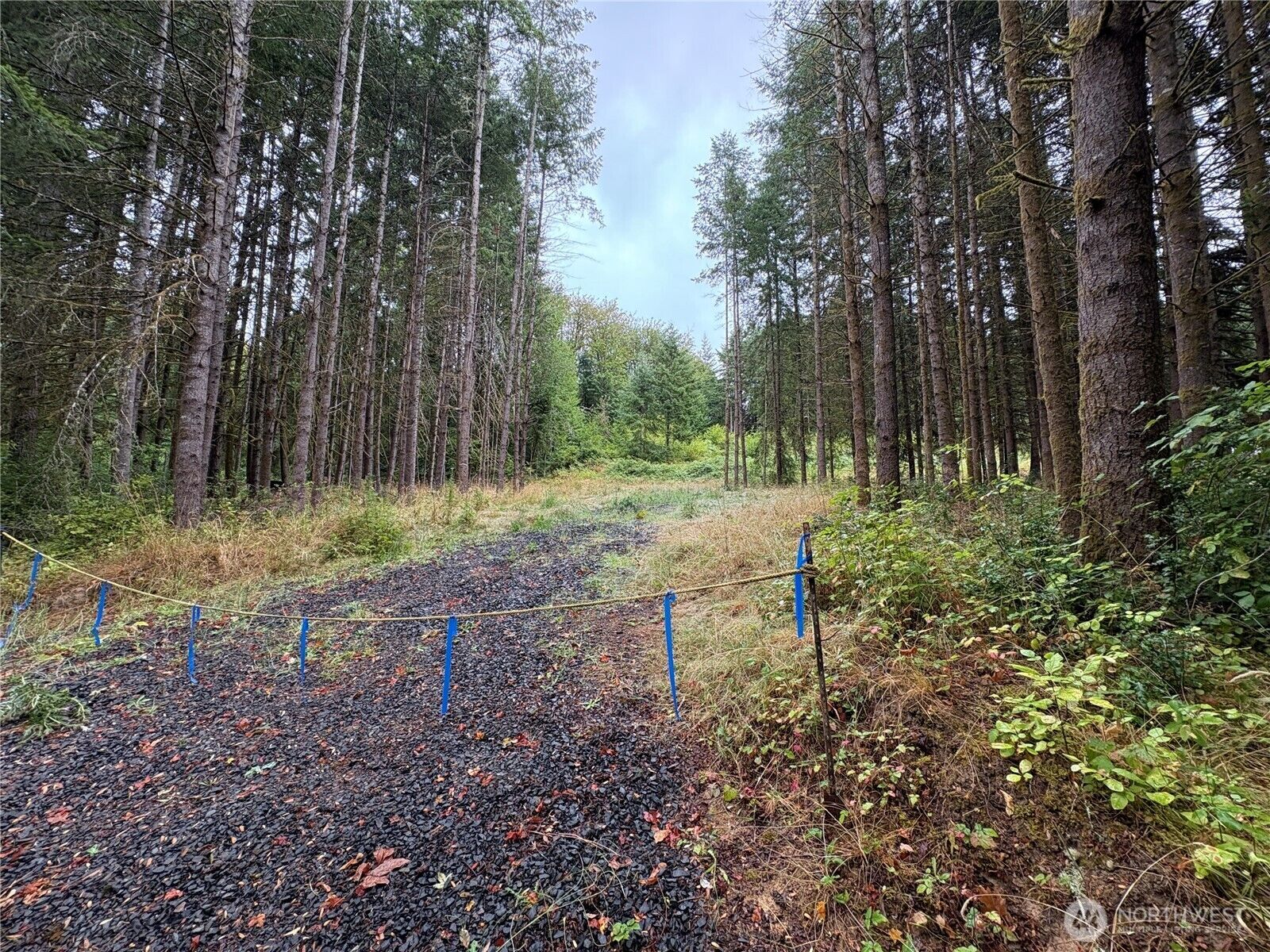 Property Photo: 0 Lot B-D SE Rose Street WA 98596