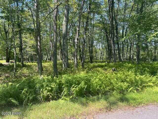 Property Photo: Lot 3810 Floyd Court PA 18337