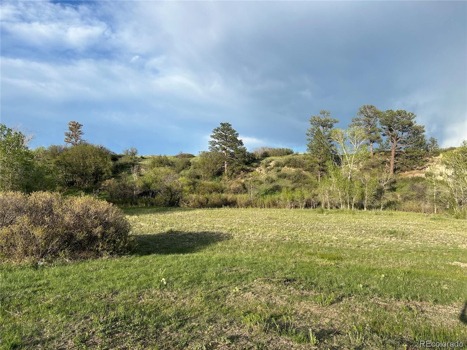 Property Photo: Castlewood Canyon Road CO 80116
