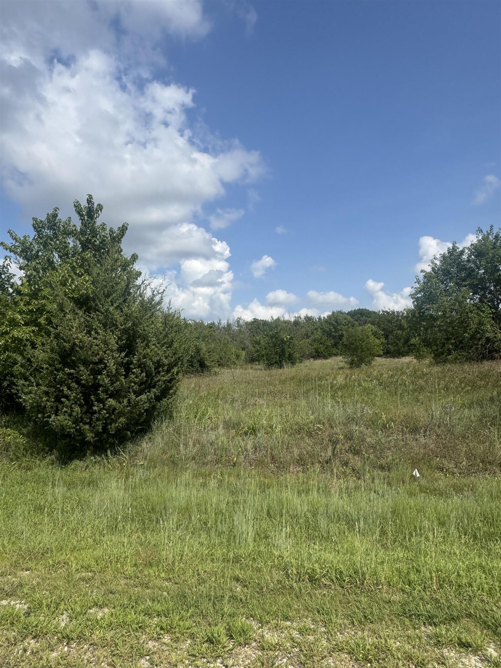 Photo de la propriété:  8802 S Fawn Trail  KS 67037 