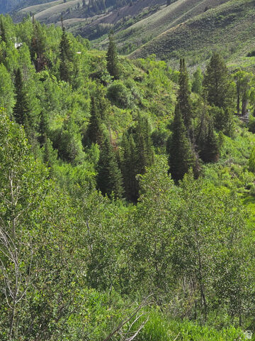 Property Photo: 6621 N Middle Fork Dr 89 UT 84317