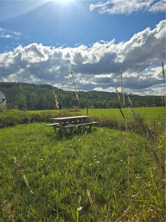 Property Photo:  Potter Road  NY 14855 