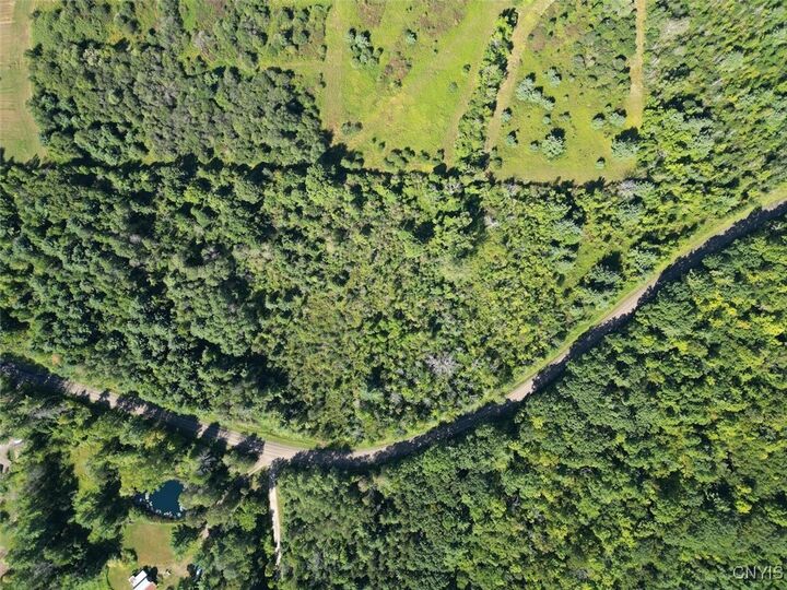 Property Photo:  Wessie Road  NY 14874 