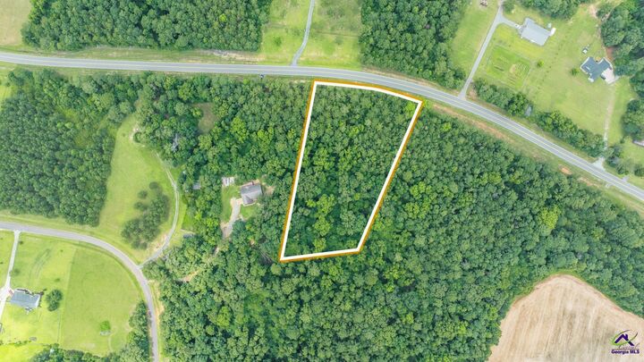 Property Photo:  0 Highway 42  GA 31030 