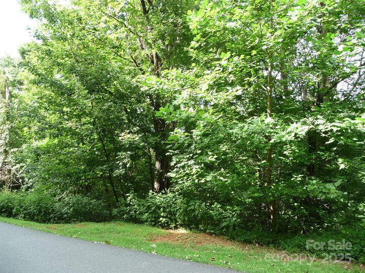 Property Photo:  Lot 35 Morning Ride Drive Lot 35  NC 28722 