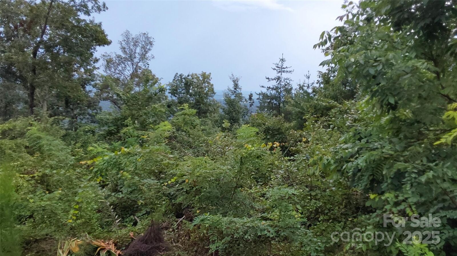 Property Photo:  0 Brighton Drive  NC 28018 