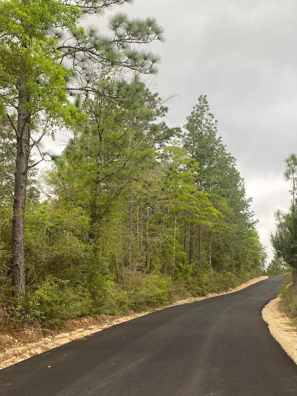 Property Photo: 23 Acres Sherman Kennedy Road FL 32531