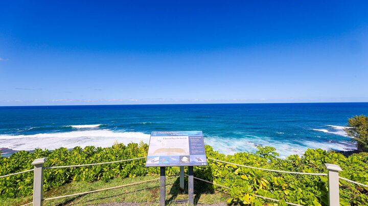 3811 Edward Rd 1108  Princeville HI 96722 photo