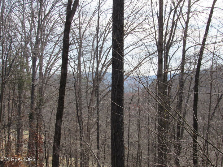 Property Photo:  105 Rockbridge Greens Blvd  TN 37830 