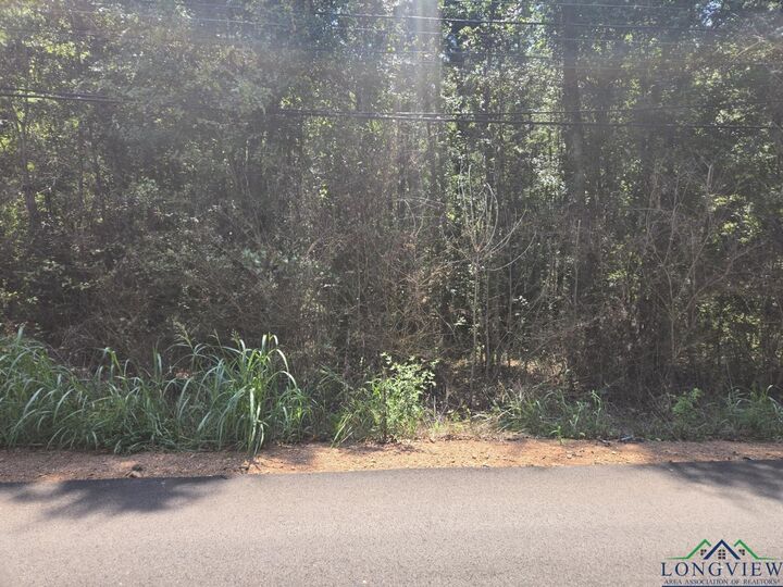 Property Photo: Tbd Martin Luther King Jr Dr TX 75652