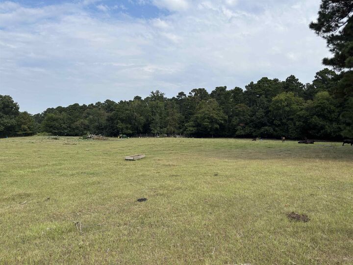 Property Photo:  Tbd County Road 165  TX 75669 