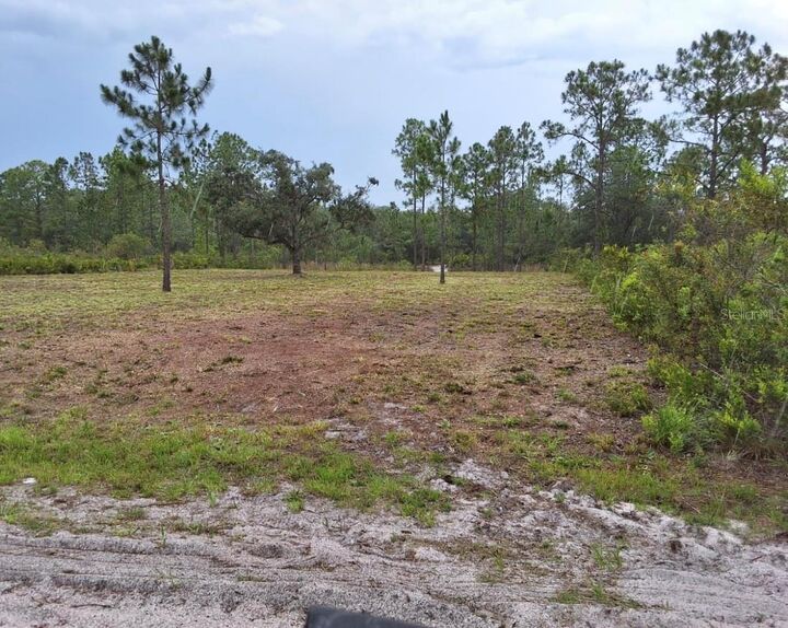 Property Photo: 1108 Palm Avenue FL 33855