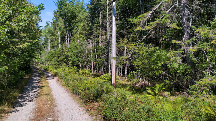 Property Photo:  Lot # 14 North Road  ME 04605 