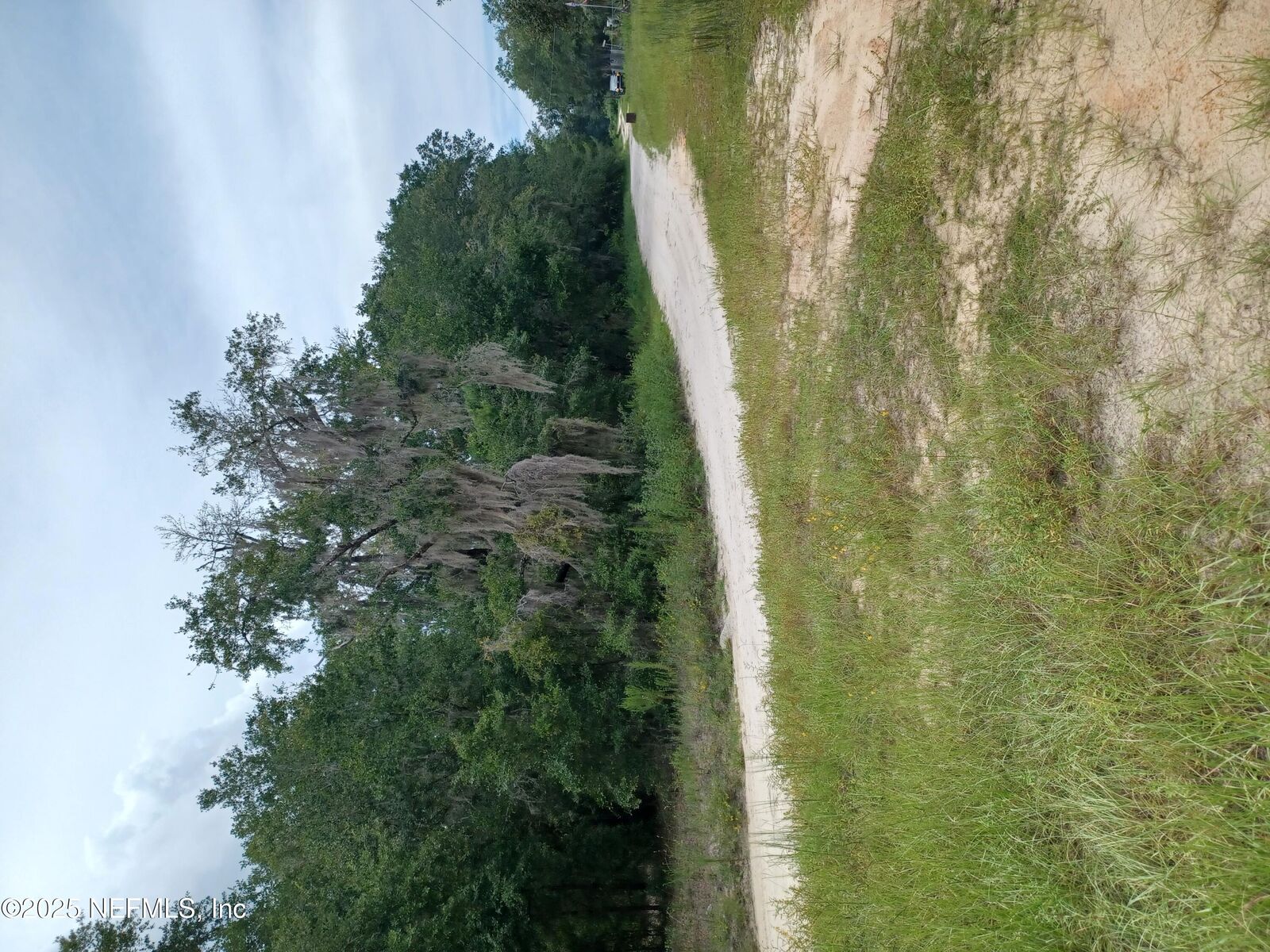 Property Photo: 0 Orange Tree Street FL 32181