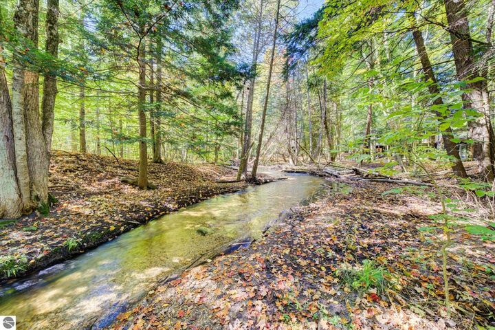 Property Photo: 6497 Deer Path 117 MI 49615